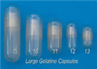 明膠膠囊（Gelatin Capsules）